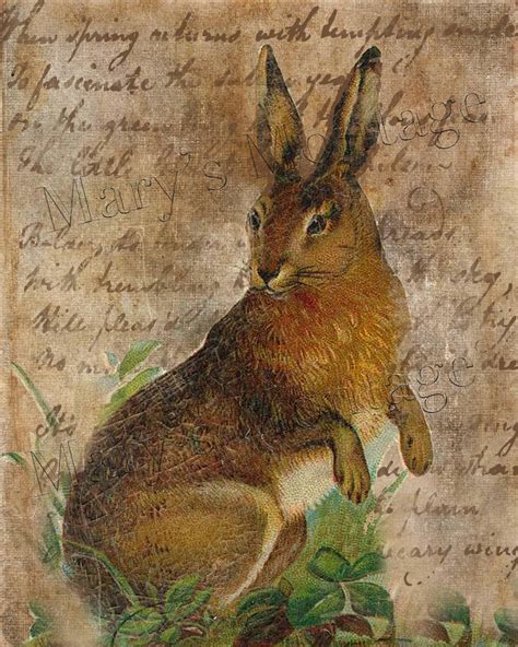 vintage rabbit prints